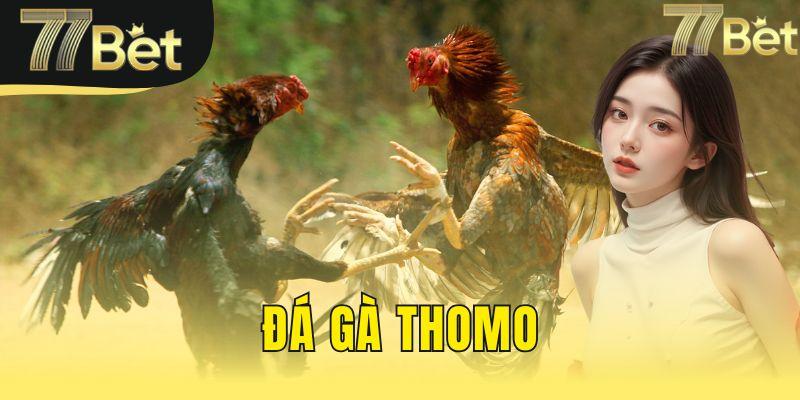 đá gà thomo